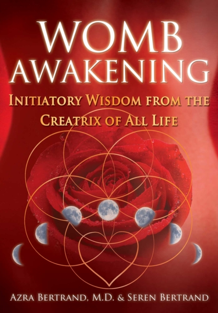 Womb Awakening : Initiatory Wisdom from the Creatrix of All Life, EPUB eBook