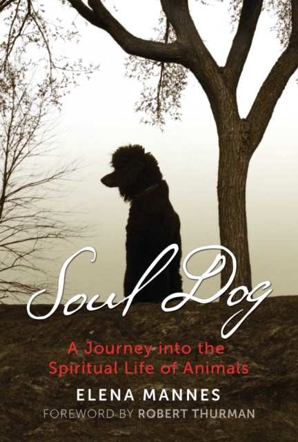 Soul Dog : A Journey into the Spiritual Life of Animals, EPUB eBook
