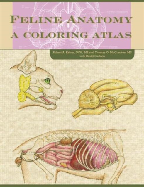 Feline Anatomy : A Coloring Atlas, Paperback / softback Book