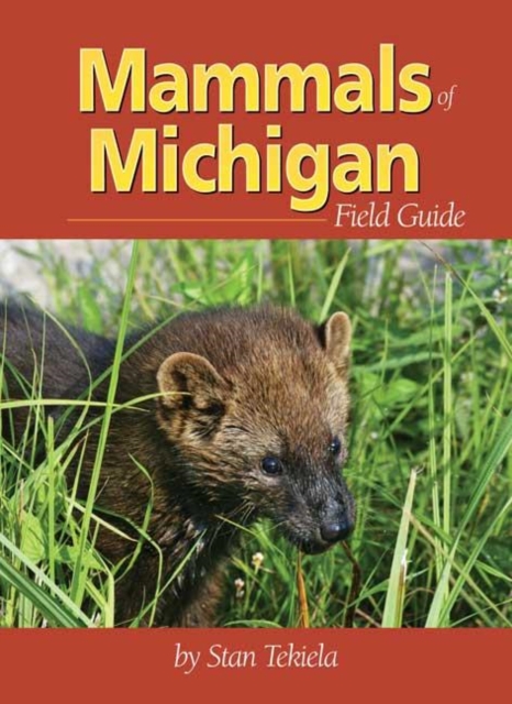 Mammals of Michigan Field Guide, Paperback / softback Book