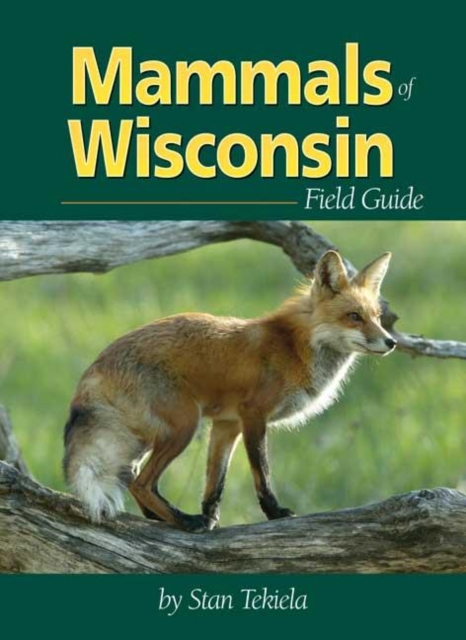 Mammals of Wisconsin Field Guide, Paperback / softback Book