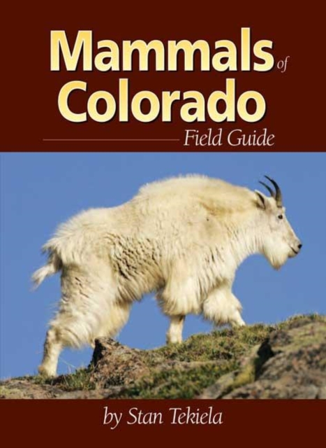 Mammals of Colorado Field Guide, Paperback / softback Book