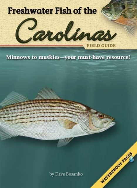 Freshwater Fish of the Carolinas Field Guide, Paperback / softback Book