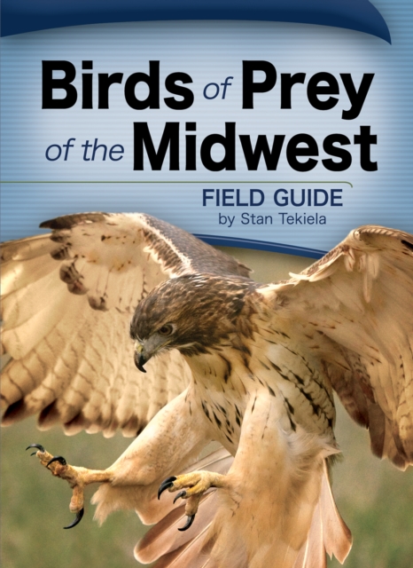 Birds of Prey of the Midwest Field Guide, Paperback / softback Book