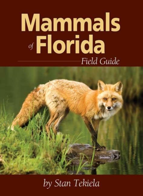 Mammals of Florida Field Guide, Paperback / softback Book