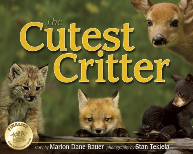 Cutest Critter, Hardback Book