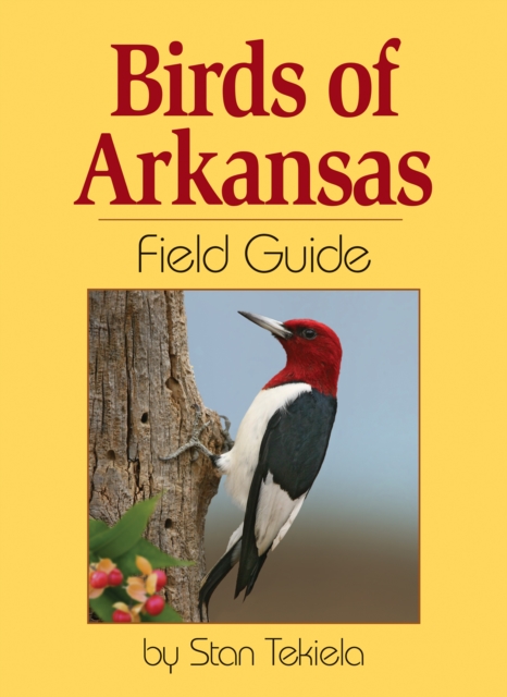 Birds of Arkansas Field Guide, Paperback / softback Book