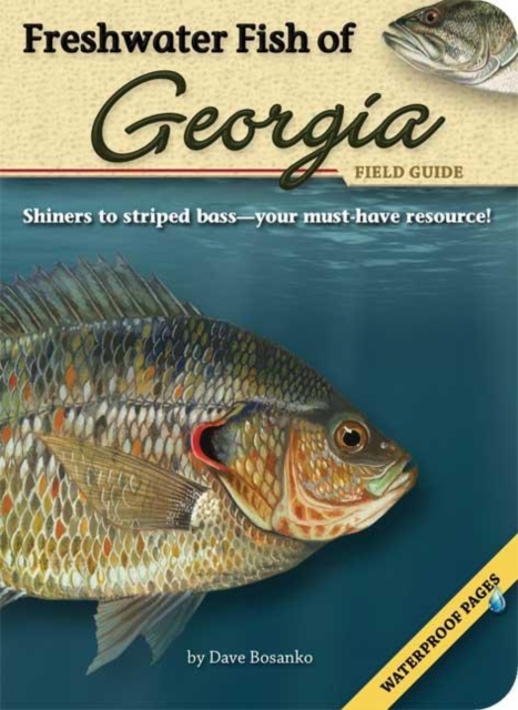 Freshwater Fish of Georgia Field Guide, Paperback / softback Book