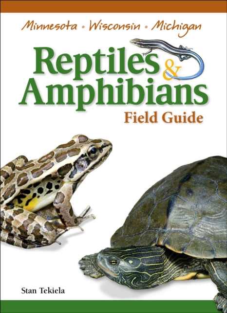 Reptiles & Amphibians of Minnesota, Wisconsin and Michigan Field Guide, Paperback / softback Book