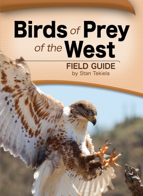Birds of Prey of the West Field Guide, Paperback / softback Book