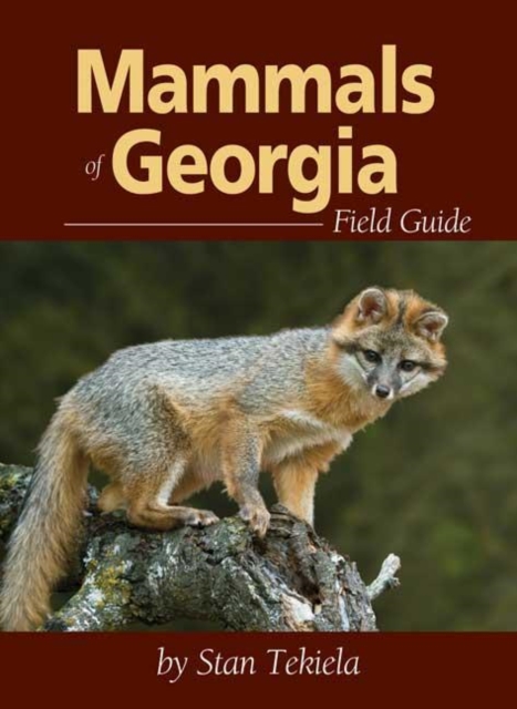 Mammals of Georgia Field Guide, Paperback / softback Book