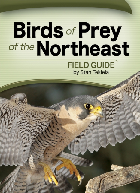 Birds of Prey of the Northeast Field Guide, Paperback / softback Book