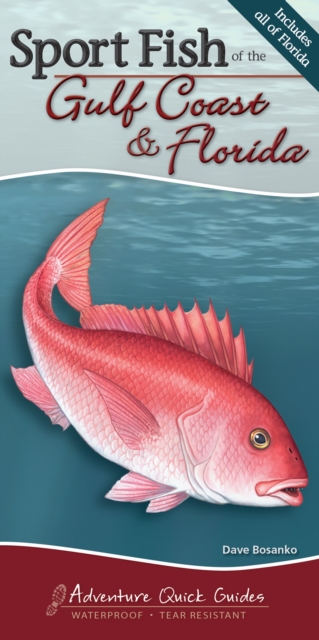 Sport Fish of the Gulf Coast & Florida : Your Way to Easily Identify Sport Fish, Spiral bound Book