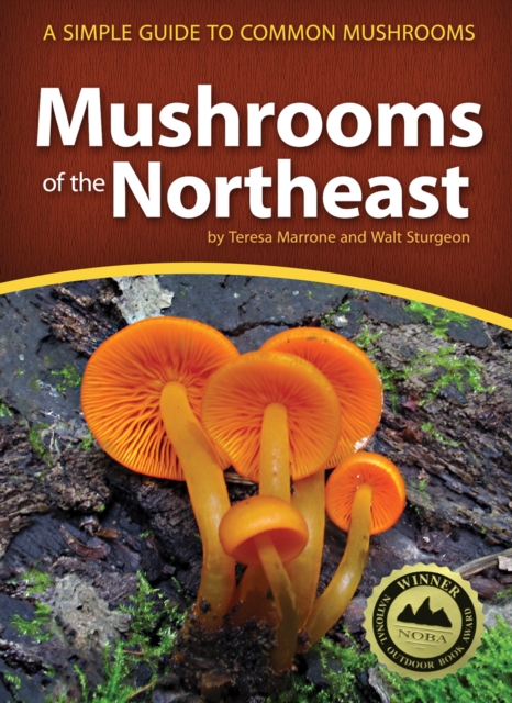 Mushrooms of the Northeast : A Simple Guide to Common Mushrooms, Paperback / softback Book