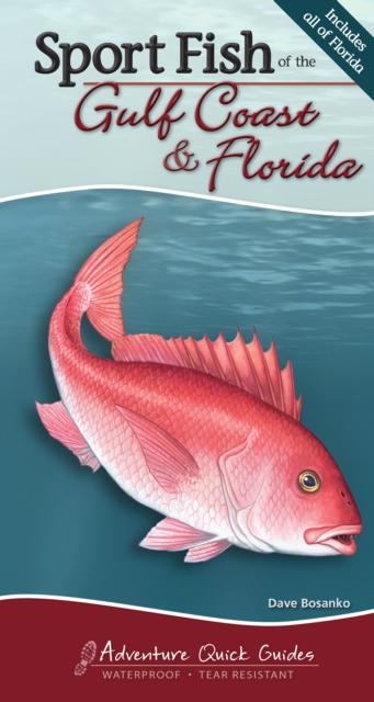 Sport Fish of the Gulf Coast & Florida, EPUB eBook