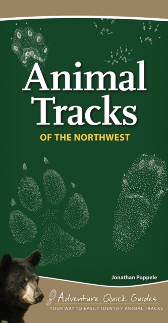 Animal Tracks of the Northwest : Your Way to Easily Identify Animal Tracks, Spiral bound Book