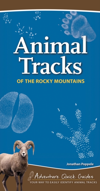 Animal Tracks of the Rocky Mountains : Your Way to Easily Identify Animal Tracks, Spiral bound Book