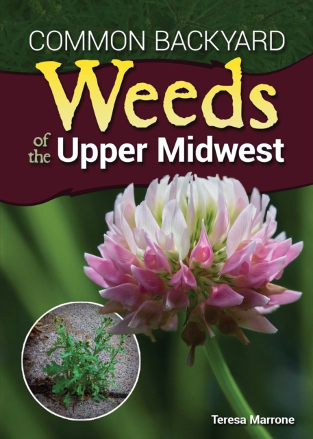 Common Backyard Weeds of the Upper Midwest, Paperback / softback Book