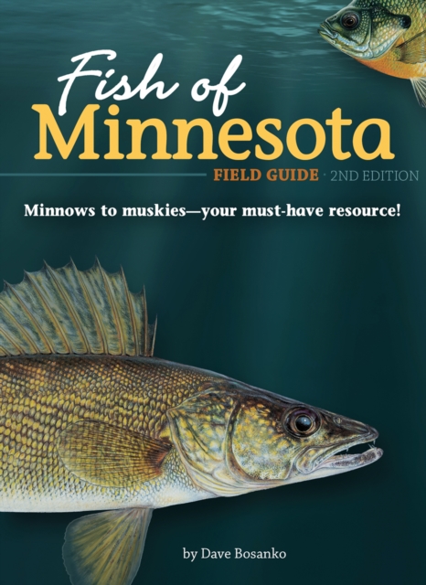 Fish of Minnesota Field Guide, Paperback / softback Book