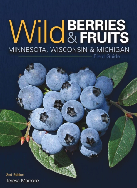 Wild Berries & Fruits Field Guide of Minnesota, Wisconsin & Michigan, Paperback / softback Book