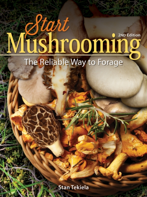 Start Mushrooming : The Reliable Way to Forage, Paperback / softback Book