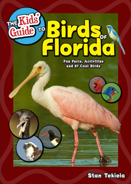 The Kids' Guide to Birds of Florida : Fun Facts, Activities and 87 Cool Birds, Paperback / softback Book
