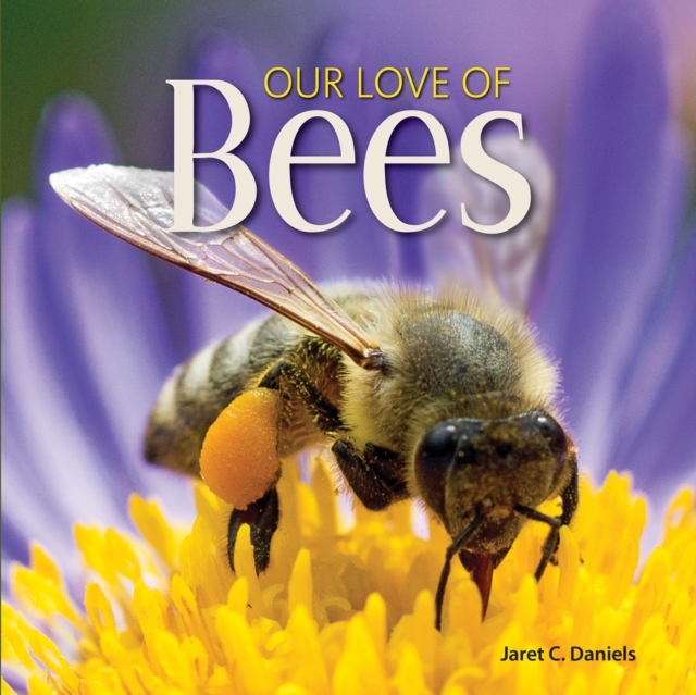 Our Love of Bees, Hardback Book