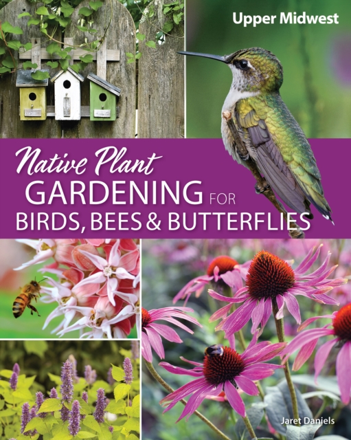 Native Plant Gardening for Birds, Bees & Butterflies: Upper Midwest : Upper Midwest, Paperback / softback Book