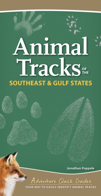 Animal Tracks of the Southeast & Gulf States : Your Way to Easily Identify Animal Tracks, Spiral bound Book