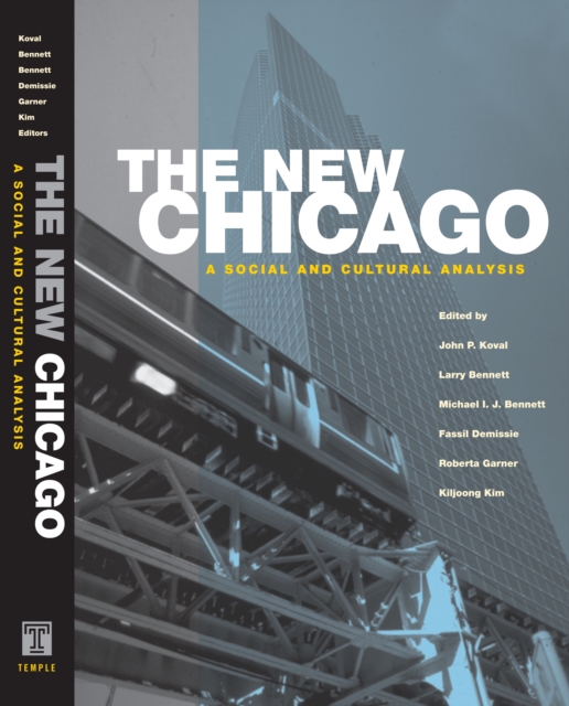 The New Chicago : A Social and Cultural Analysis, Paperback / softback Book