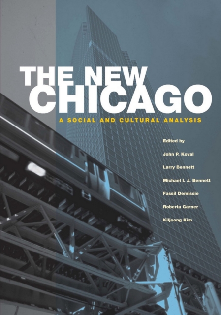 The New Chicago : A Social and Cultural Analysis, PDF eBook