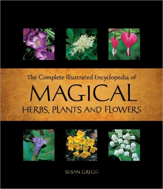 Complete Illustrated Encyclopedia of Magical Plants, Paperback / softback Book