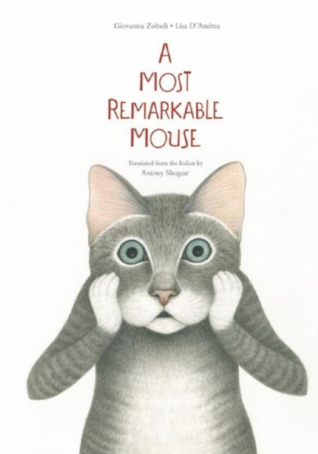 A Most Mysterious Mouse, Hardback Book