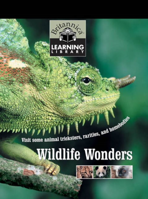 Wildlife Wonders, PDF eBook