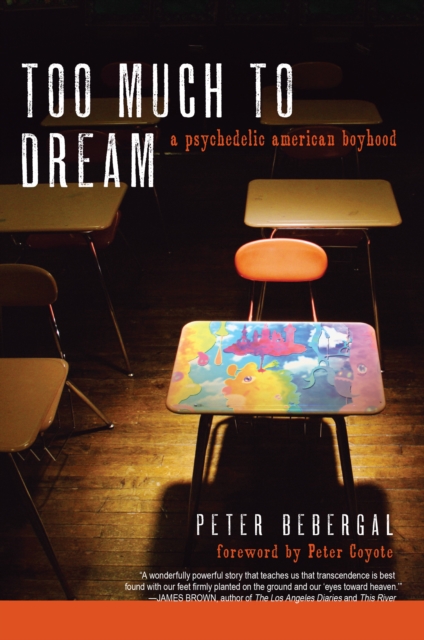 Too Much to Dream, EPUB eBook