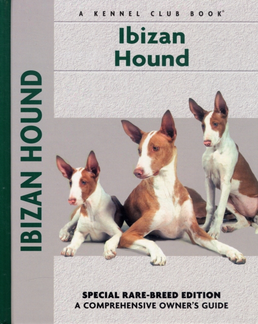 Ibizan Hound, Hardback Book