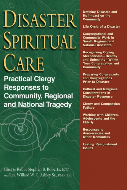 Disaster Spiritual Care : Practical Clergy Responses to Community, Regional and National Tragedy, Hardback Book