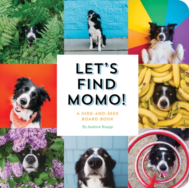 Let's Find Momo! : A Hide-and-Seek Board Book, Board book Book