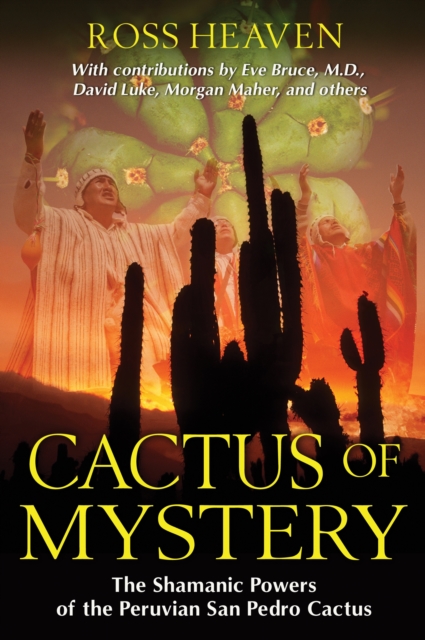 Cactus of Mystery : The Shamanic Powers of the Peruvian San Pedro Cactus, Paperback / softback Book