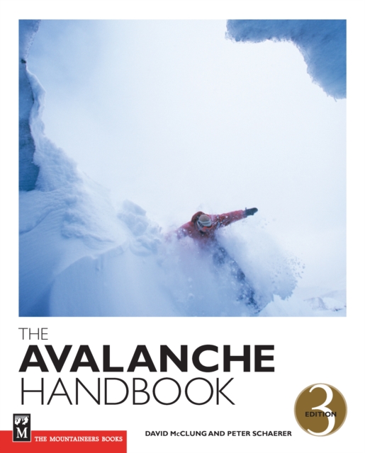 The Avalanche Handbook, EPUB eBook
