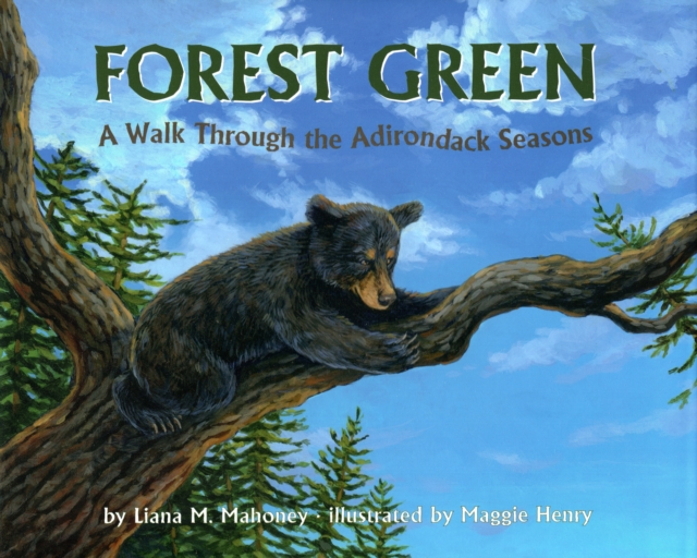 Forest Green : A Walk Through the Adirondack Seasons, Hardback Book