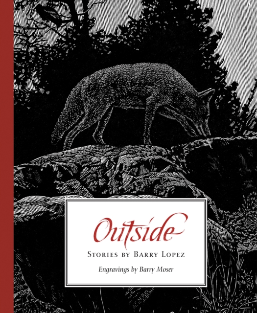 Outside, Hardback Book