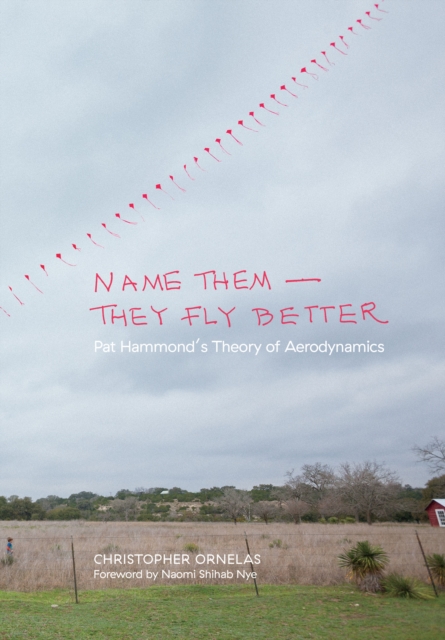 Name Them-They Fly Better : Pat Hammond's Theory of Aerodynamics, Paperback / softback Book