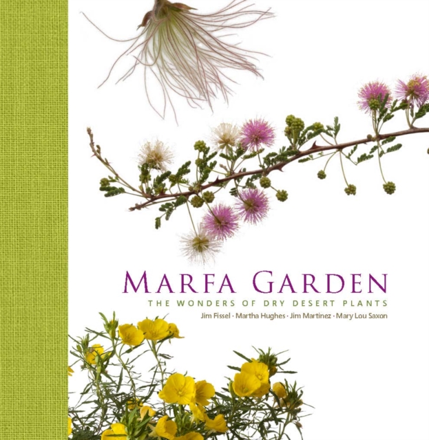 Marfa Garden : The Wonders of Dry Desert Plants, Hardback Book