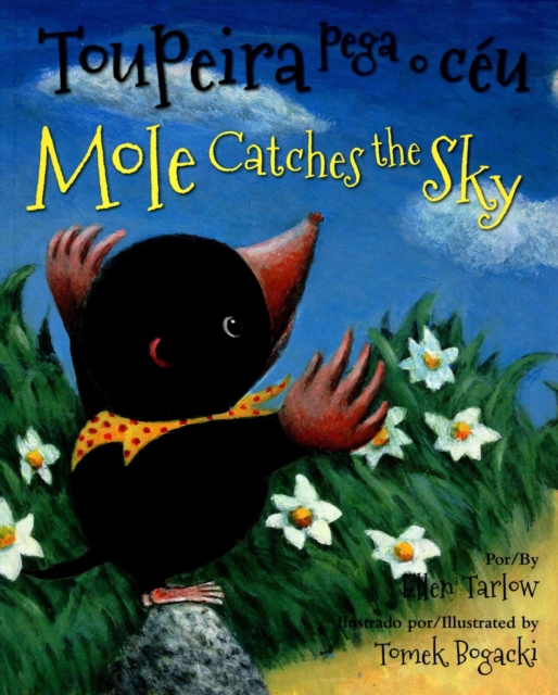 Mole Catches the Sky (Portuguese/English), Paperback / softback Book