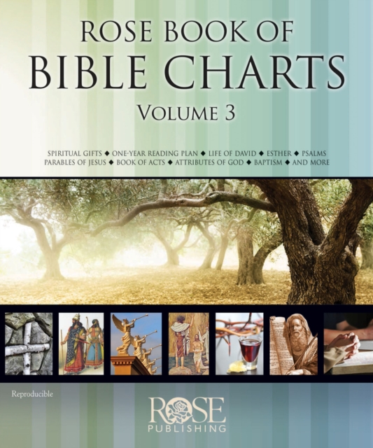 Rose Book of Bible Charts Vol. 3, Hardback Book