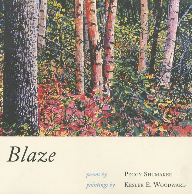 Blaze, Paperback / softback Book