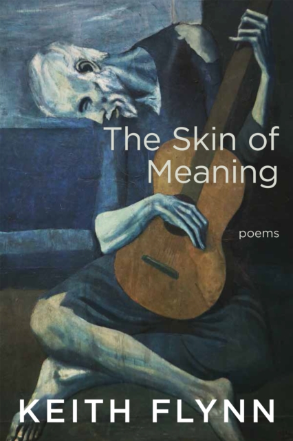 The Skin of Meaning, EPUB eBook