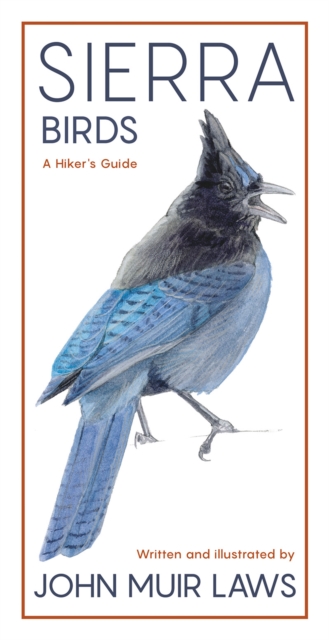 Sierra Birds : A Hiker's Guide, Paperback / softback Book