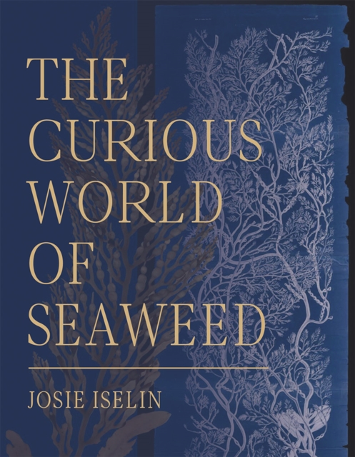 The Curious World of Seaweed, EPUB eBook